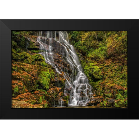 North Carolina, Brevard Waterfall in DuPont SF Black Modern Wood Framed Art Print by OBrien, Jay