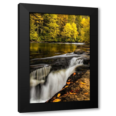 North Carolina, Brevard Landscape in Pisgah NF Black Modern Wood Framed Art Print with Double Matting by OBrien, Jay
