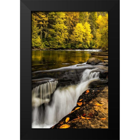 North Carolina, Brevard Landscape in Pisgah NF Black Modern Wood Framed Art Print by OBrien, Jay