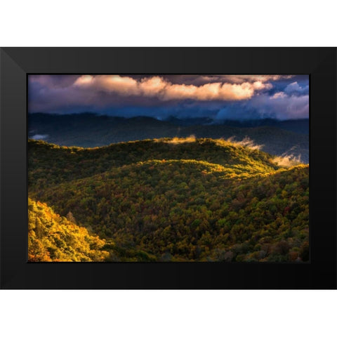 NC, Brevard Autumn landscape in Pisgah NF Black Modern Wood Framed Art Print by OBrien, Jay