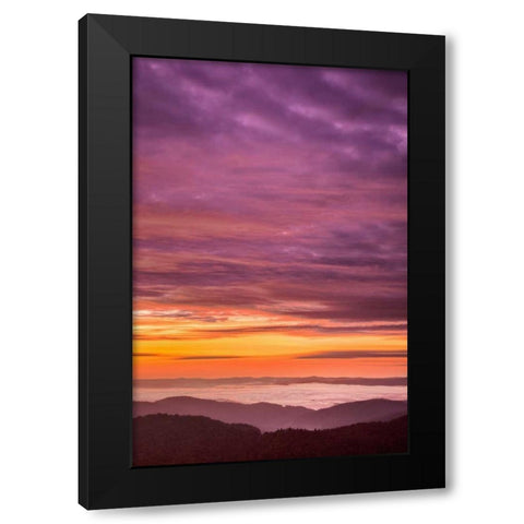 North Carolina, Brevard Landscape in Pisgah NF Black Modern Wood Framed Art Print by OBrien, Jay