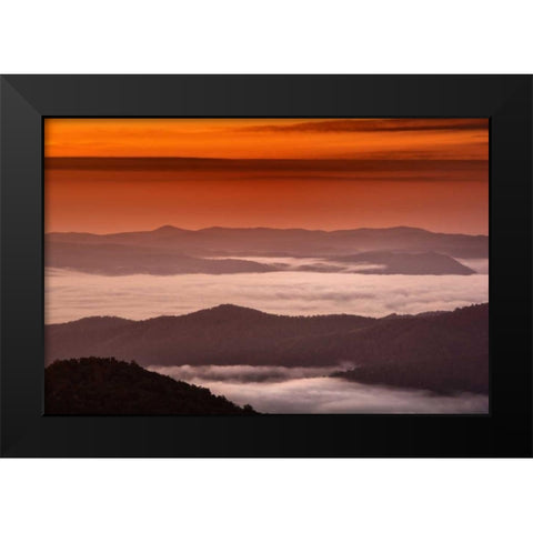 North Carolina, Brevard Landscape in Pisgah NF Black Modern Wood Framed Art Print by OBrien, Jay
