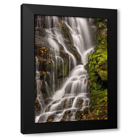North Carolina, Brevard Waterfall in DuPont SF Black Modern Wood Framed Art Print with Double Matting by OBrien, Jay