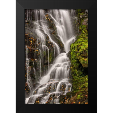 North Carolina, Brevard Waterfall in DuPont SF Black Modern Wood Framed Art Print by OBrien, Jay