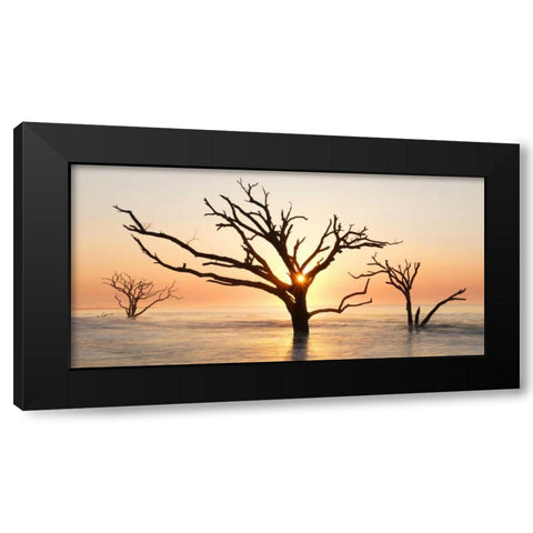 North Carolina Sunrise at Botany Bay Preserve Black Modern Wood Framed Art Print with Double Matting by Bush, Marie