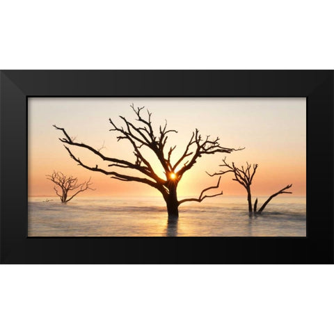 North Carolina Sunrise at Botany Bay Preserve Black Modern Wood Framed Art Print by Bush, Marie