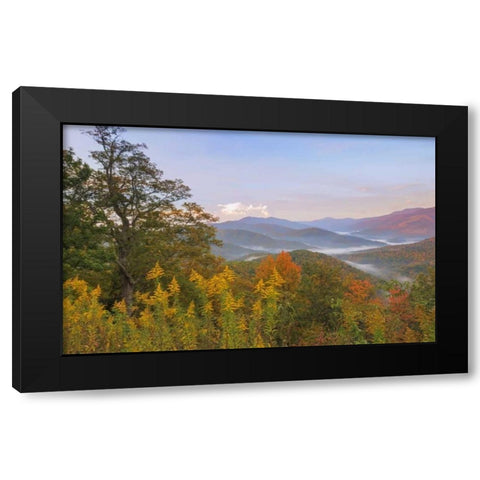 USA, North Carolina Black Mountains overlook Black Modern Wood Framed Art Print by Paulson, Don