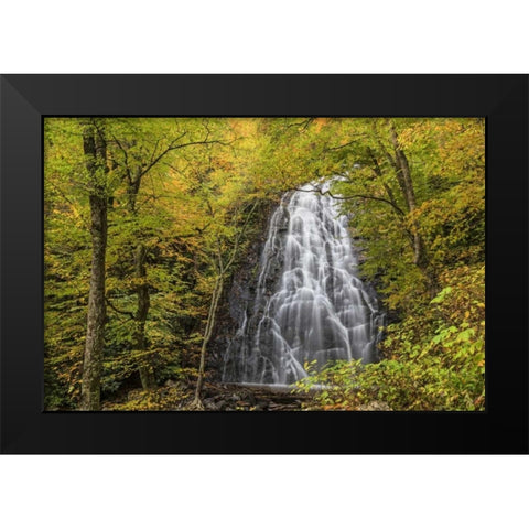 North Carolina, Crabtree Falls in autumn Black Modern Wood Framed Art Print by Paulson, Don
