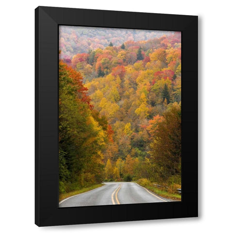 North Carolina Road through autumn forest Black Modern Wood Framed Art Print by Paulson, Don