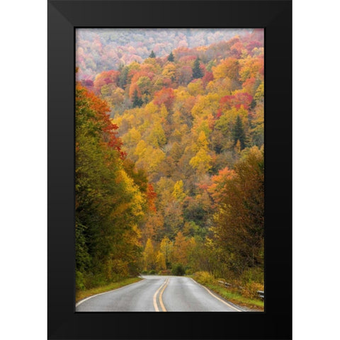 North Carolina Road through autumn forest Black Modern Wood Framed Art Print by Paulson, Don