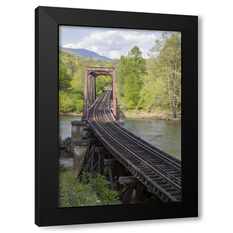 North Carolina Abandoned railroad trestle Black Modern Wood Framed Art Print by Grall, Don