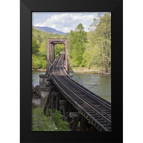 North Carolina Abandoned railroad trestle Black Modern Wood Framed Art Print by Grall, Don