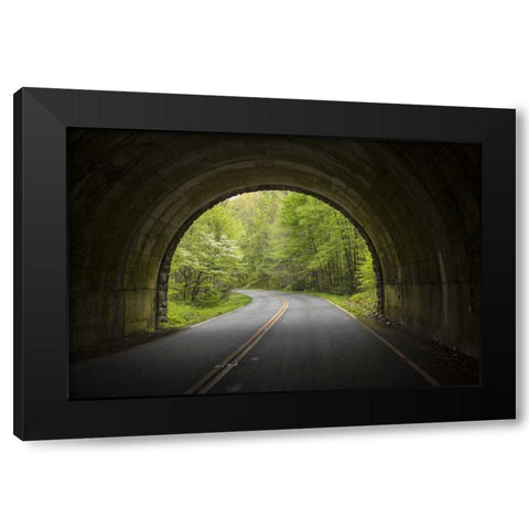 North Carolina Tunnel on the Blue Ridge Parkway Black Modern Wood Framed Art Print with Double Matting by Grall, Don