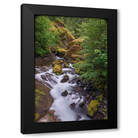 Tanner Creek-Columbia River Gorge-Oregon Black Modern Wood Framed Art Print by Jones, Adam