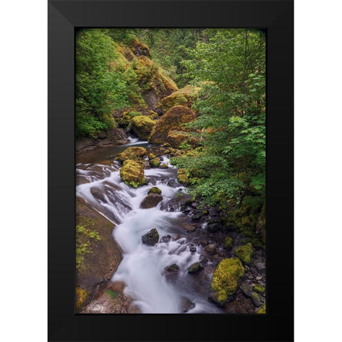 Tanner Creek-Columbia River Gorge-Oregon Black Modern Wood Framed Art Print by Jones, Adam