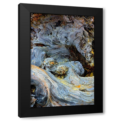 Abstract pattern in driftwood-Bandon Beach-Oregon Black Modern Wood Framed Art Print by Jones, Adam