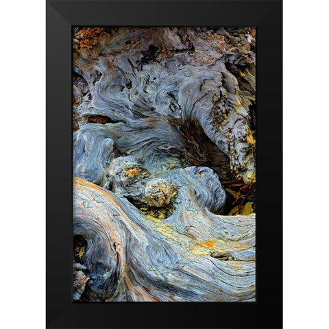 Abstract pattern in driftwood-Bandon Beach-Oregon Black Modern Wood Framed Art Print by Jones, Adam