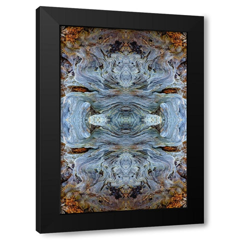 Abstract pattern in driftwood-Bandon Beach-Oregon Black Modern Wood Framed Art Print by Jones, Adam
