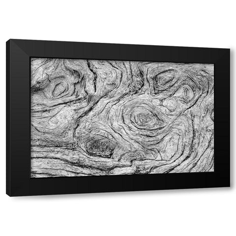 Geometric pattern in eroded driftwood-Bandon Beach-Oregon Black Modern Wood Framed Art Print by Jones, Adam