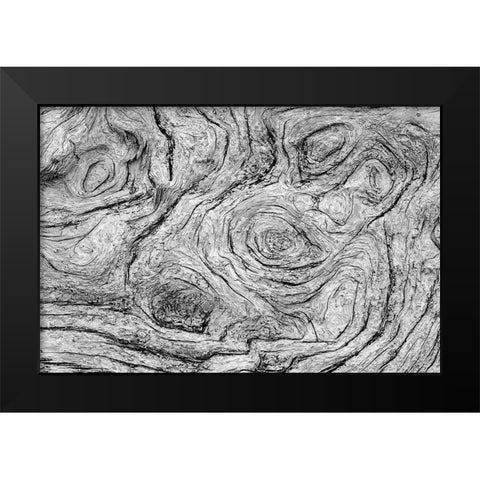 Geometric pattern in eroded driftwood-Bandon Beach-Oregon Black Modern Wood Framed Art Print by Jones, Adam