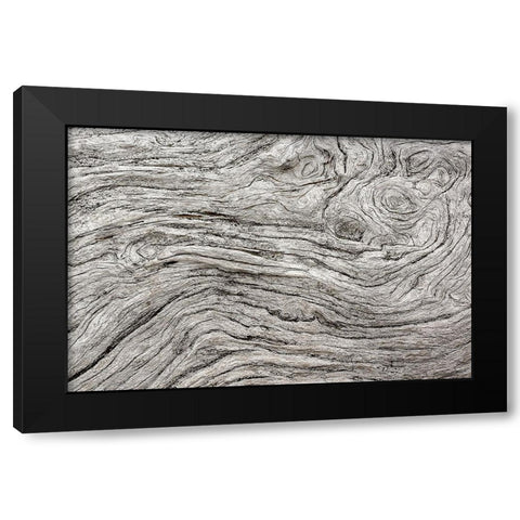 Geometric pattern in eroded driftwood-Bandon Beach-Oregon Black Modern Wood Framed Art Print with Double Matting by Jones, Adam