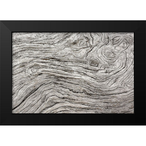 Geometric pattern in eroded driftwood-Bandon Beach-Oregon Black Modern Wood Framed Art Print by Jones, Adam