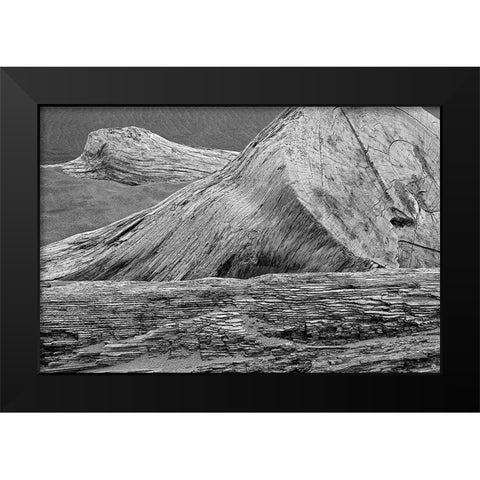 Eroded driftwood on beach-Bandon Beach-Oregon Black Modern Wood Framed Art Print by Jones, Adam