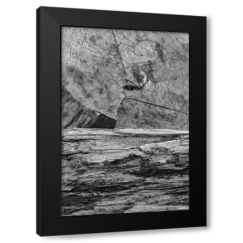 Geometric pattern in eroded driftwood-Bandon Beach-Oregon Black Modern Wood Framed Art Print with Double Matting by Jones, Adam