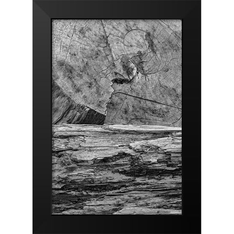 Geometric pattern in eroded driftwood-Bandon Beach-Oregon Black Modern Wood Framed Art Print by Jones, Adam