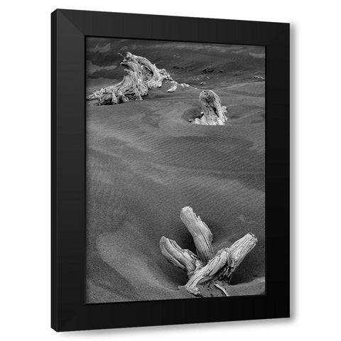 Eroded driftwood on beach-Bandon Beach-Oregon Black Modern Wood Framed Art Print by Jones, Adam