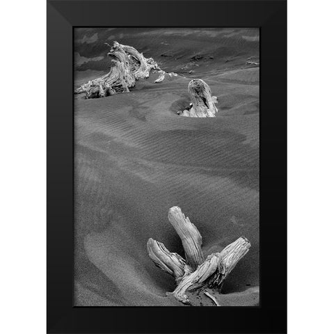 Eroded driftwood on beach-Bandon Beach-Oregon Black Modern Wood Framed Art Print by Jones, Adam