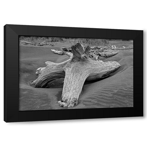 Geometric pattern in eroded driftwood-Bandon Beach-Oregon Black Modern Wood Framed Art Print by Jones, Adam
