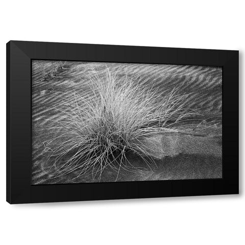 Grass pattern-Bandon-Oregon Black Modern Wood Framed Art Print by Jones, Adam