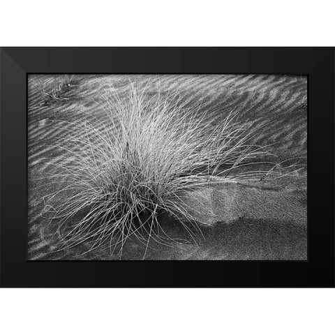 Grass pattern-Bandon-Oregon Black Modern Wood Framed Art Print by Jones, Adam