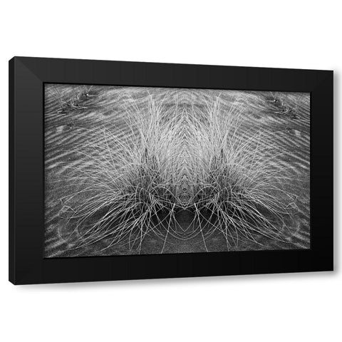 Grass pattern reflected and flipped-Bandon-Oregon Black Modern Wood Framed Art Print by Jones, Adam