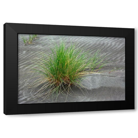 Grass pattern-Bandon-Oregon Black Modern Wood Framed Art Print with Double Matting by Jones, Adam