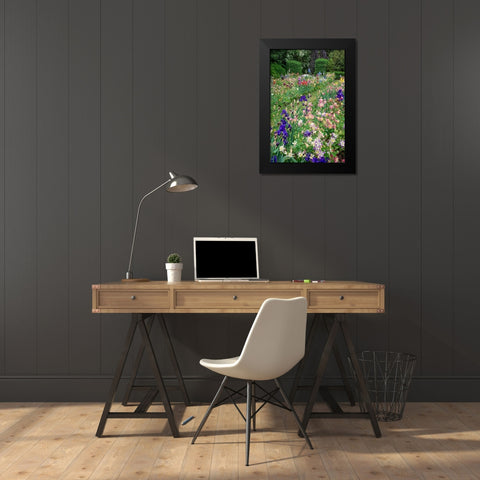 Columbine and Iris garden-Schreiner Iris Gardens-Salem-Oregon Black Modern Wood Framed Art Print by Jones, Adam