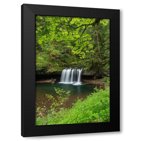 Upper Butte Creek Falls Cascade Range-Oregon Black Modern Wood Framed Art Print with Double Matting by Majchrowicz, Alan