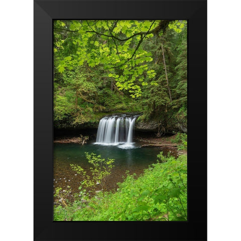 Upper Butte Creek Falls Cascade Range-Oregon Black Modern Wood Framed Art Print by Majchrowicz, Alan