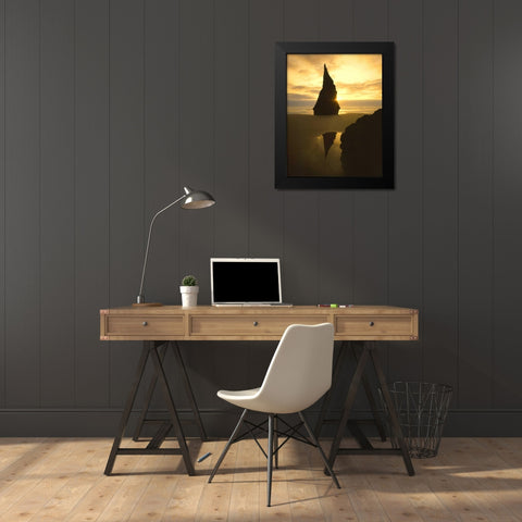 OR, Bandon Beach, Sunset silhouettes seabird Black Modern Wood Framed Art Print by Terrill, Steve