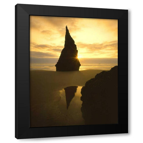 OR, Bandon Beach, Sunset silhouettes seabird Black Modern Wood Framed Art Print by Terrill, Steve