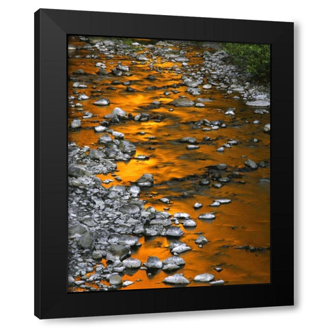 OR, Columbia Gorge, Multnomah Creek Black Modern Wood Framed Art Print by Terrill, Steve