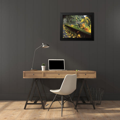 OR, Columbia Gorge, Columbia River Highway Black Modern Wood Framed Art Print by Terrill, Steve