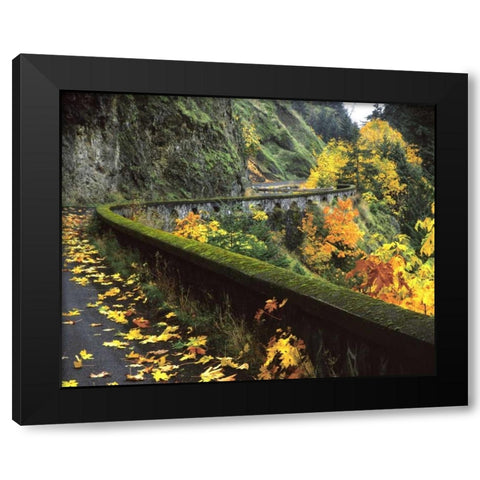 OR, Columbia Gorge, Columbia River Highway Black Modern Wood Framed Art Print by Terrill, Steve