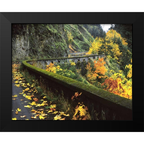 OR, Columbia Gorge, Columbia River Highway Black Modern Wood Framed Art Print by Terrill, Steve