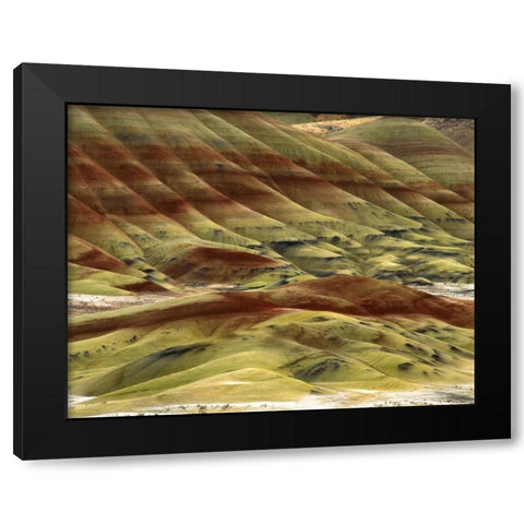 OR, Volcanic ash hills of the Painted Hills Unit Black Modern Wood Framed Art Print with Double Matting by Terrill, Steve