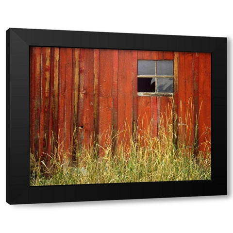 OR, Joseph, Grasses contrast with broken window Black Modern Wood Framed Art Print by Terrill, Steve