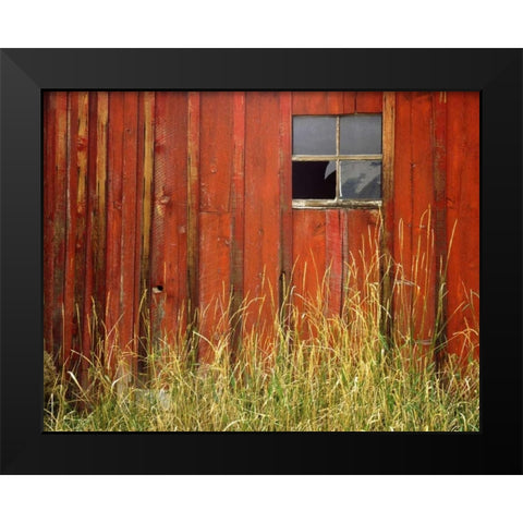 OR, Joseph, Grasses contrast with broken window Black Modern Wood Framed Art Print by Terrill, Steve
