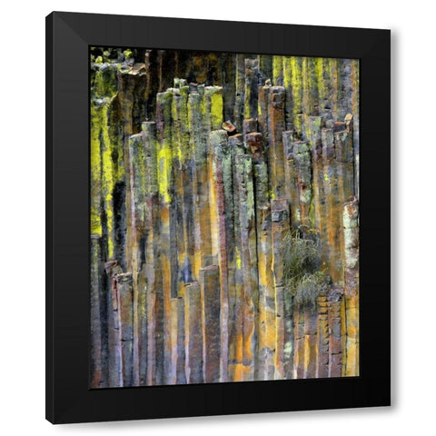 OR, Umpqua NF, Lichen-covered basalt formation Black Modern Wood Framed Art Print with Double Matting by Terrill, Steve