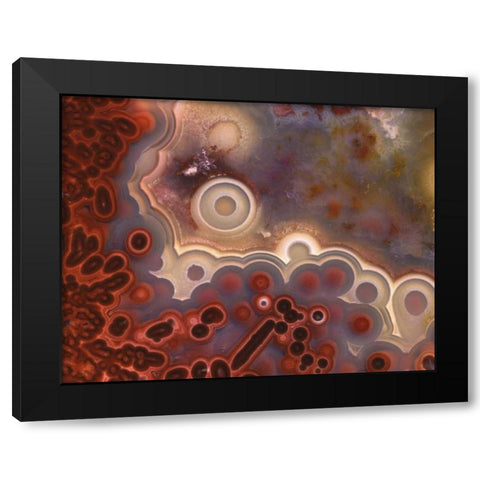 OR, Pattern in Mexican crazy lace agate Black Modern Wood Framed Art Print by Terrill, Steve
